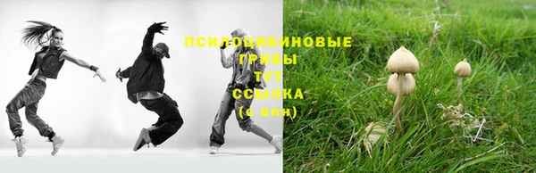 apvp Алзамай