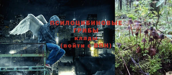 apvp Алзамай