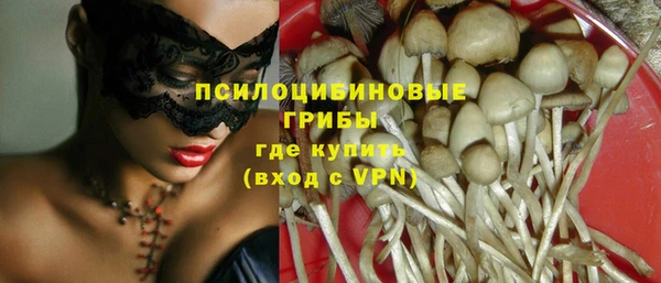 apvp Алзамай