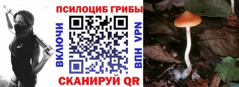 гидра вход  наркота  Сочи  Галлюциногенные грибы Cubensis 